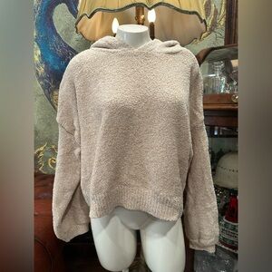 EUC soft Cozy Cream Hooded Sweater